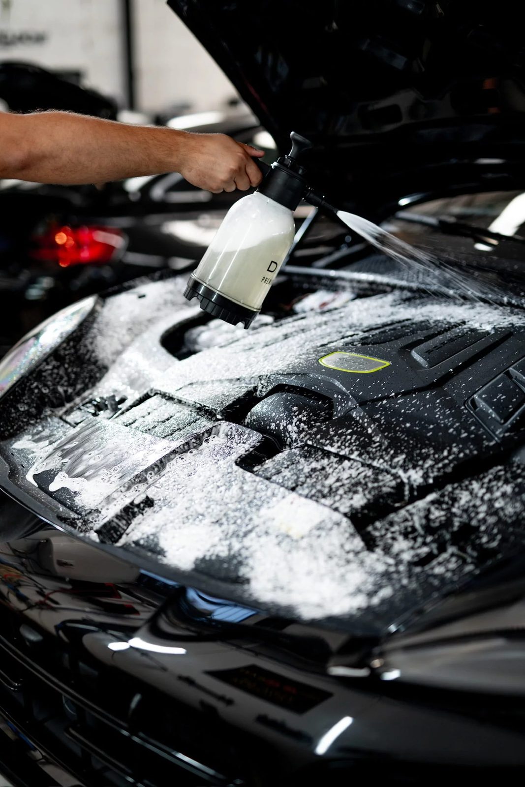 Limpeza detalhada do compartimento do motor